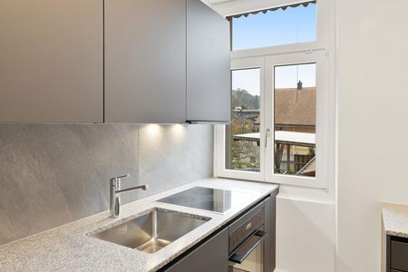 Renovierte 4-Zimmer-Wohnung an zentraler und ruhiger Lage - Foto 4