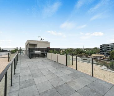 203/293 - 295 Hampton Street, Hampton VIC 3188 - Apartment For Rent... - Photo 5