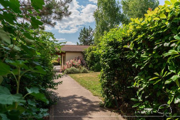 Location Appartement 3 pièces 55m² CUSSET 03300 - Photo 1