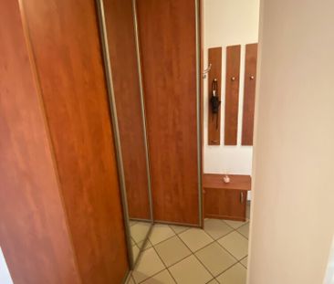 Konfortowe 2 pokoje wynajem ODI/2516 - Photo 6