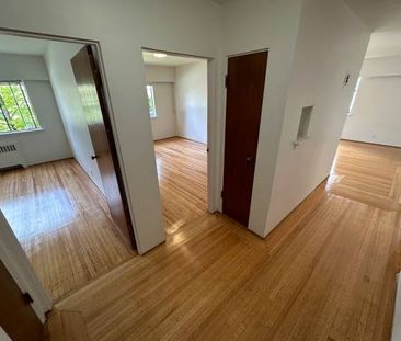 2 Bed/1 Bath Large Updated Suite in Kerrisdale - 1 cat ok - Photo 4