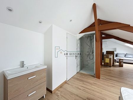 Location Appartement 1 pièce 20m² - Photo 4