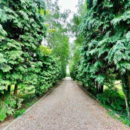 Woodfield House, North Muskham, Newark, NG23 6HT, Property for rent - Photo 4