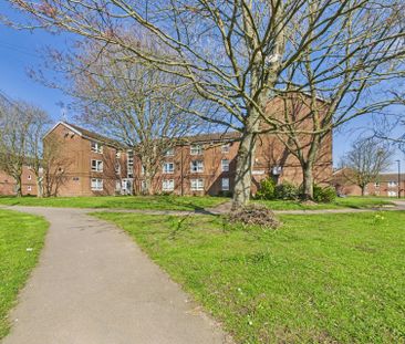 163 Ormond Road, S8 - Photo 1