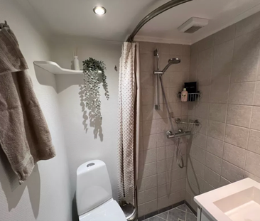 Dejlig og rummelig 2-værelses lejlighed - Photo 2