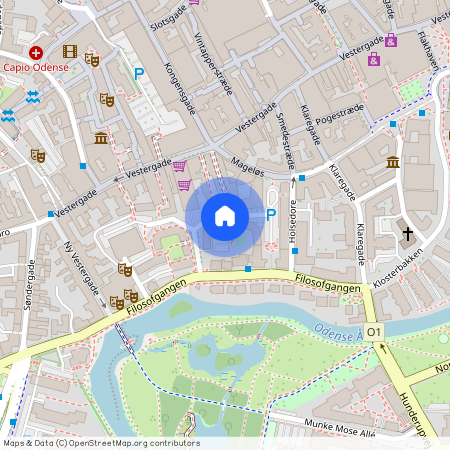 Filosofhaven 7, 3. tv., 5000 Odense C