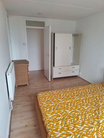 Room in a Shared Flat, Charlotte Despard Avenue, SW11 - Photo 5