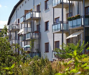 3-Zimmer-Wohnung zum 01.05.2026 in Cracau verfügbar! - Photo 3