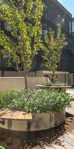 36/2 Torrens Street, Braddon ACT 2612 - Apartment For Rent | Domain - Photo 4