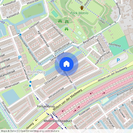 Octavialaan, 2314 BN, Leiden