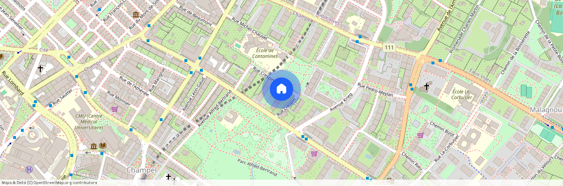 Rue Crespin 20, 1206 GENEVE