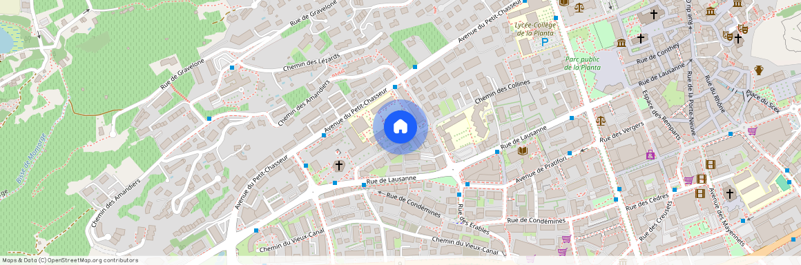 Chemin des Collines 46, 1950, Sion