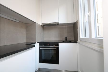 Appartement de 2 pièces à la Jonction - Photo 5