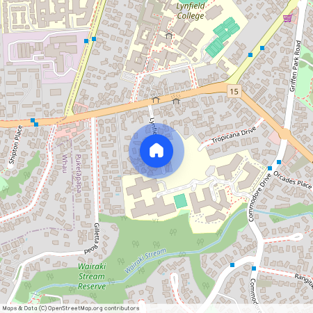 5 Lynfield Place, Mount Roskill, Auckland