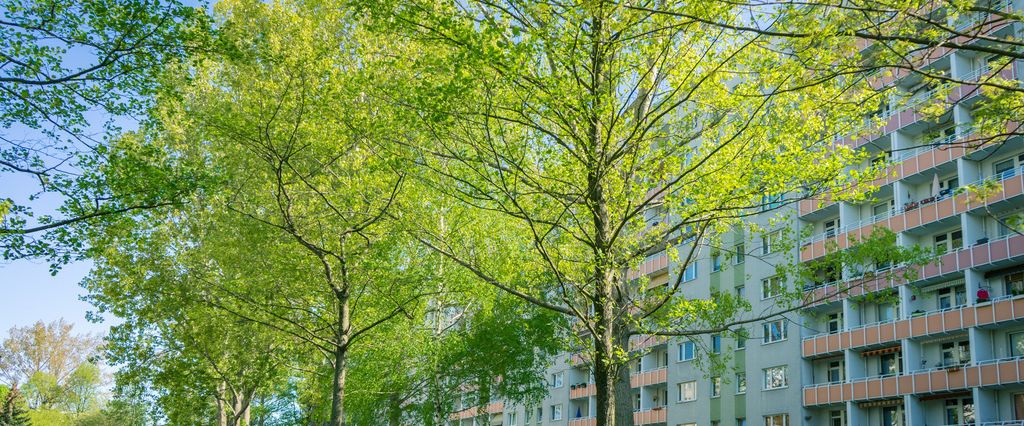 3-Raum-Wohnung - Foto 1