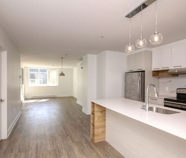 9675 Av. Papineau, Montréal, QC - Photo 2
