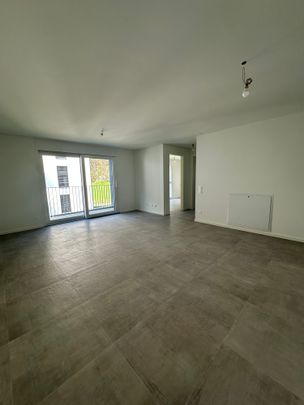3 Zimmer, 65 m², 2. Stock - Foto 1