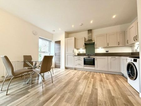 Riverford Court, Newlands, G43 1FB - Photo 4