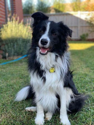 Hamlyn Heights - Photo 5