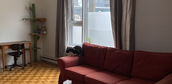 Grand 41/2 Situer Face Au Métro Papineau - Photo 2