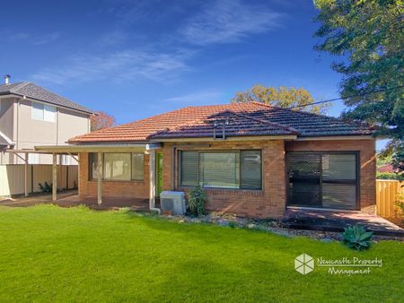 4 Ellerslie Road, Adamstown Heights - Photo 5