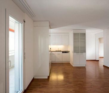 In der Abendsonne - Foto 5