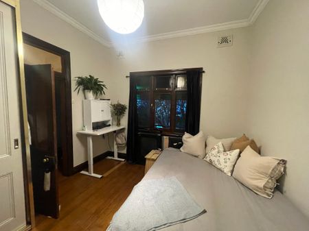 Camperdown - Photo 4