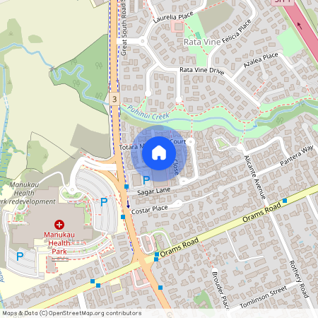 6 Duin lane, Wiri, Manukau City