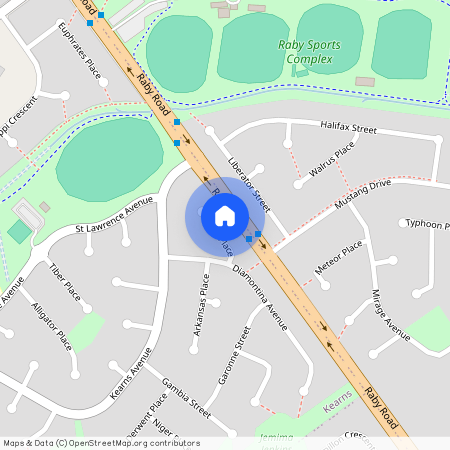 8 Sepik Place, NSW 2558, Kearns