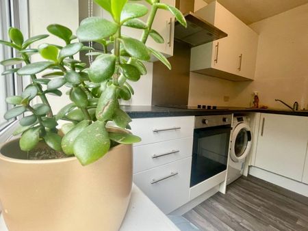Daisyfield Court - Photo 5
