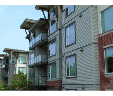 416 33539 HOLLAND AVENUE | 416 33539 HOLLAND AVENUE, Abbotsford - Photo 1