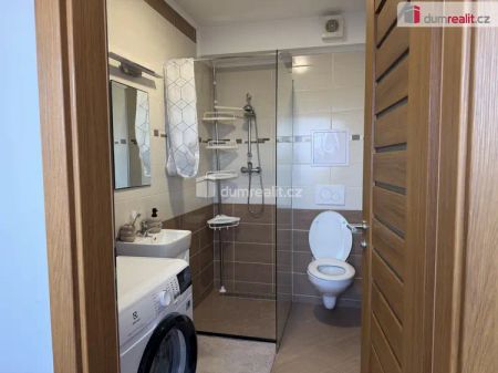 Pronájem bytu 1+kk, s vlastním parkovacím stáním, Bohatice - Fotografie 3