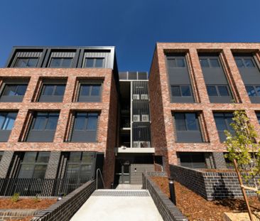 Fresh Two Bedroom Unit In Brand New Complex! - Photo 3