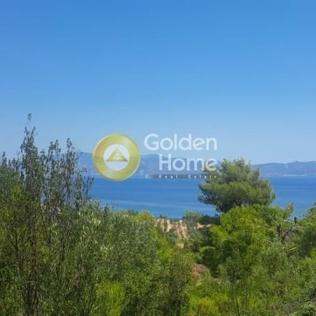 Μεζονέτα για ενοικίαση Θεολόγος (Μαλεσίνα) - Φωτογραφία 1