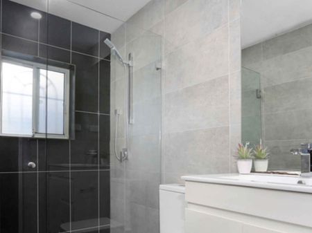 Renovated One Bedroom Apartment in Kingsford - Photo 5