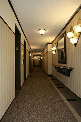 Appartement à louer - Montréal (Outremont) Appartement à louer - Montréal (Outremont) - Photo 3