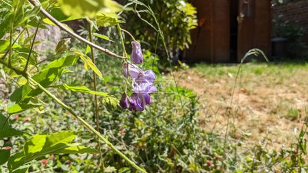 Appartement - à louer - 1000 Bruxelles - 1 200 € - Photo 3