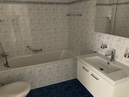 Rue du Clos-Novex 49, 1868 COLLOMBEY - Foto 4