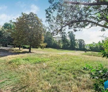 St. Michael's Terrace, Muswell Hill, London, N22 - Photo 6