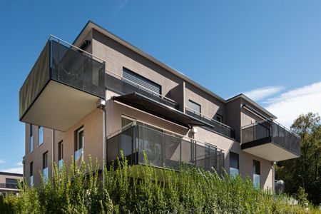 Stilvolle Attika-Wohnung in gepflegter Überbauung! - Photo 2