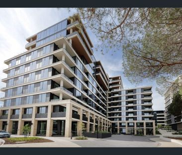 Brand New Luxury Apartment with Racecourse Views in Moonee Ponds - Photo 5