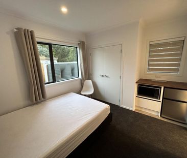 Highlight on Hibiscus - Photo 4