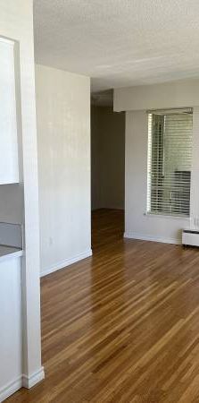 Experience Kitsilano: Studio Apartment Awaits! - Photo 1