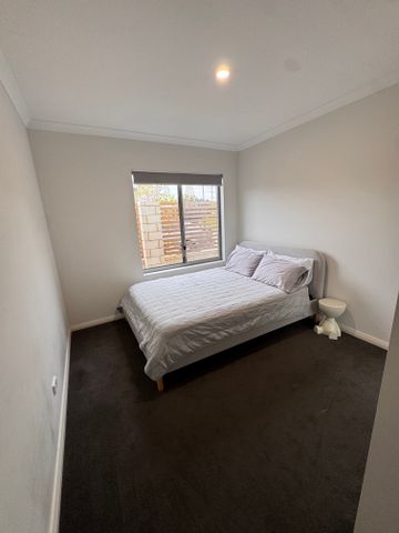 Hammond Park - Photo 3