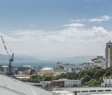 15B Hankey Street (Upper), Mount Cook - Photo 5