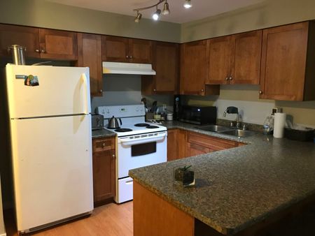 1 Bedroom at Old Yale Heights! - Photo 4