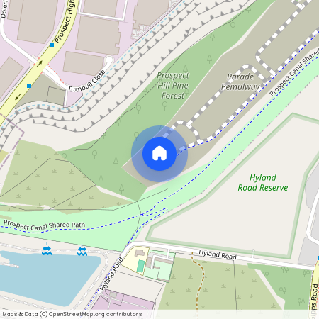 321 Driftway Drive, NSW 2145, Pemulwuy