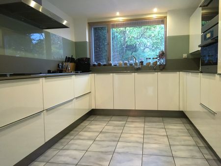 Beschrijving Klavergriend - Photo 4