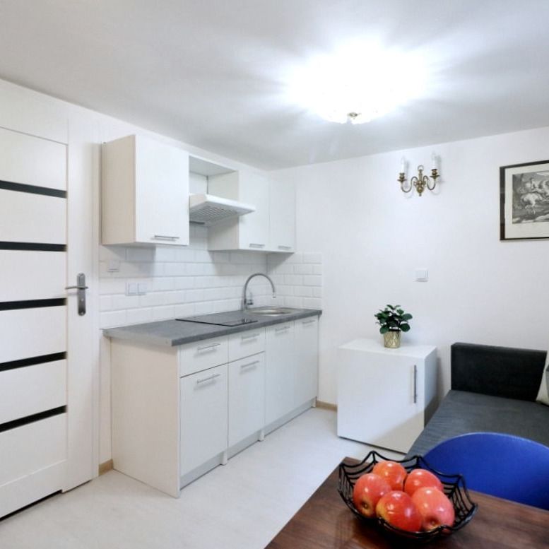 Umeblowana kawalerka w kameralnym budynku-Zacisze 17.5 m² - Zdjęcie 1