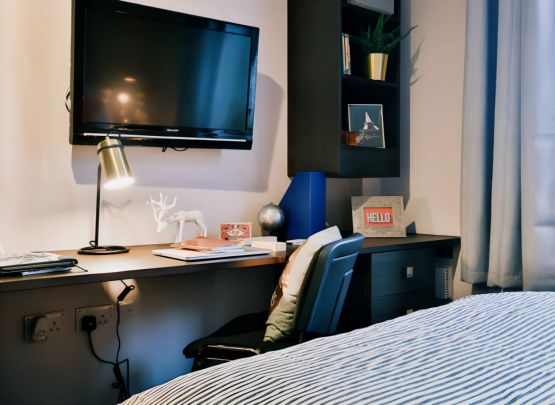 Classic Smaller Studio - Photo 1